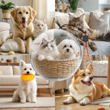 The Magic Crystal Ball Hold The Breathing Memories In Your Hand